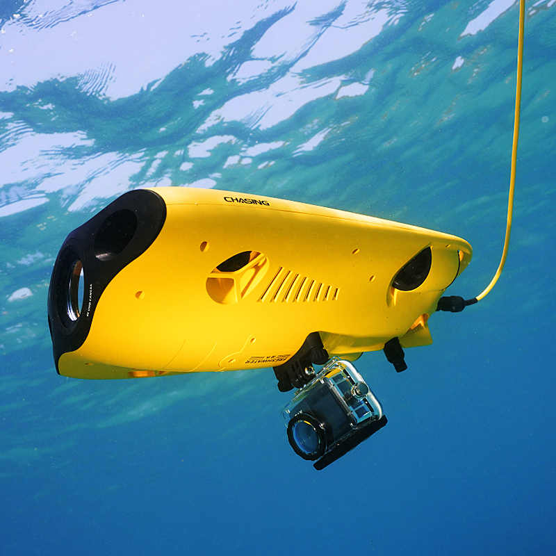 Equipo de rescate alvage puede - Fishing Equipment Gear reseña y precio