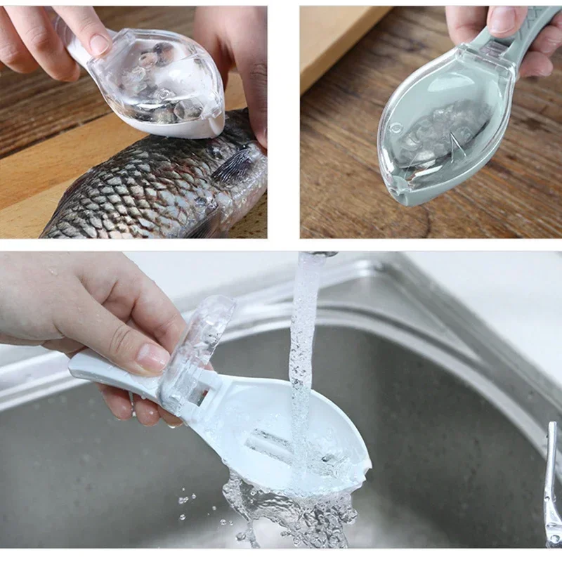 Ralladores de escamas de pesca - Fishing Equipment Kitchener reseña y precio