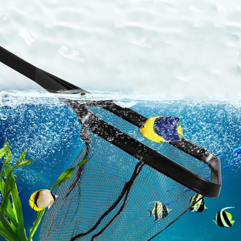 Red de Pesca Telescópica de Pl - Landing Net Telescopic reseña y precio