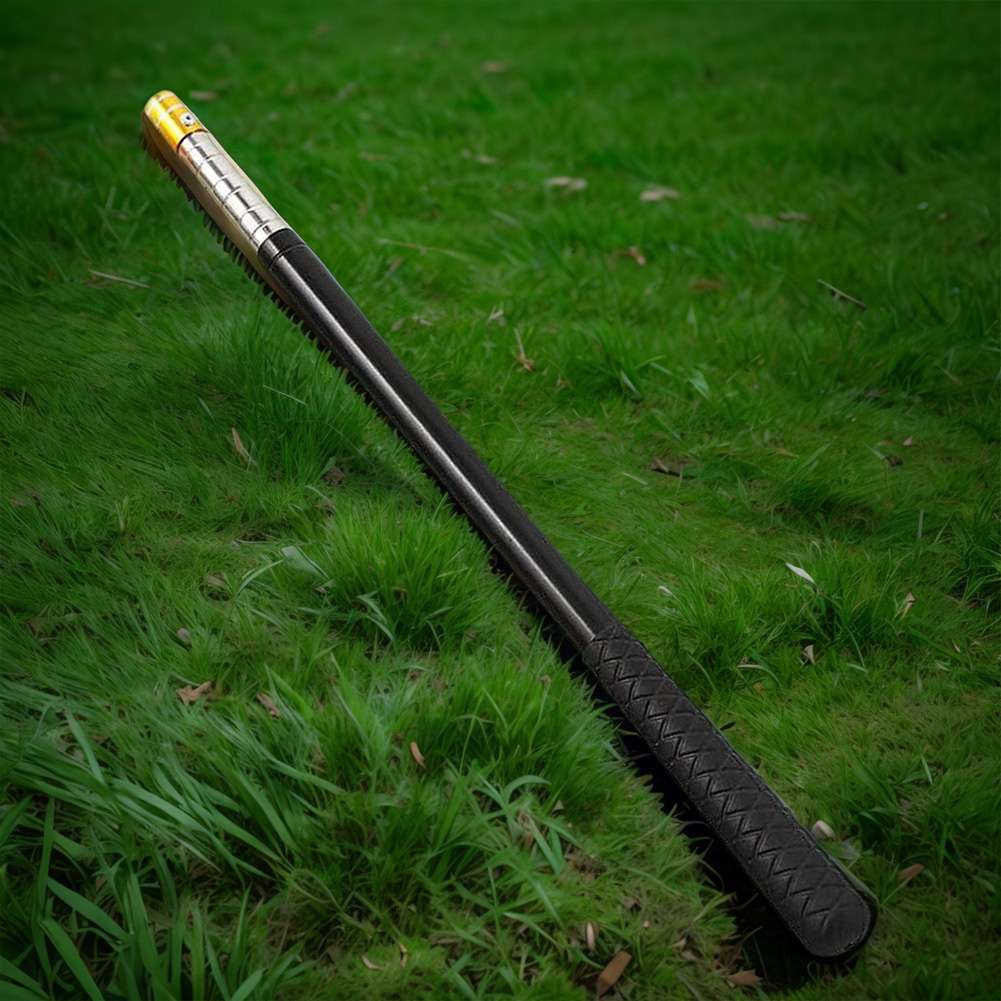 Mango de red de aterrizaje tel - Landing Net Telescopic reseña y precio