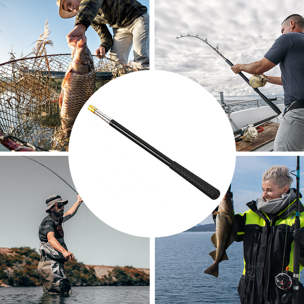 Mango de red de aterrizaje tel - Landing Net Telescopic reseña y precio