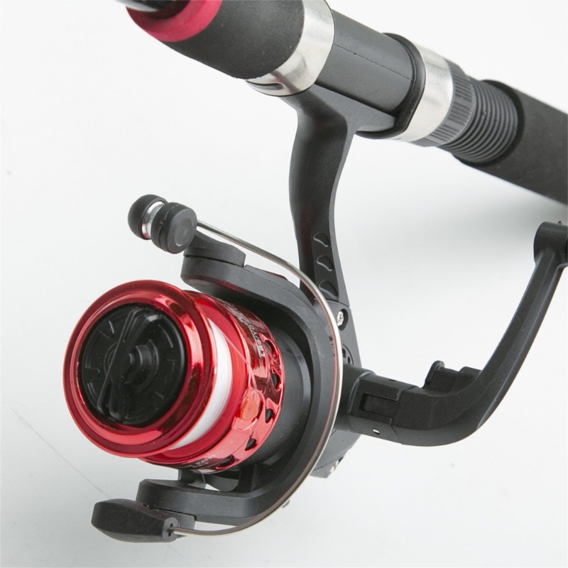 Juego pesca para principiantes - Landing Net Telescopic reseña y precio