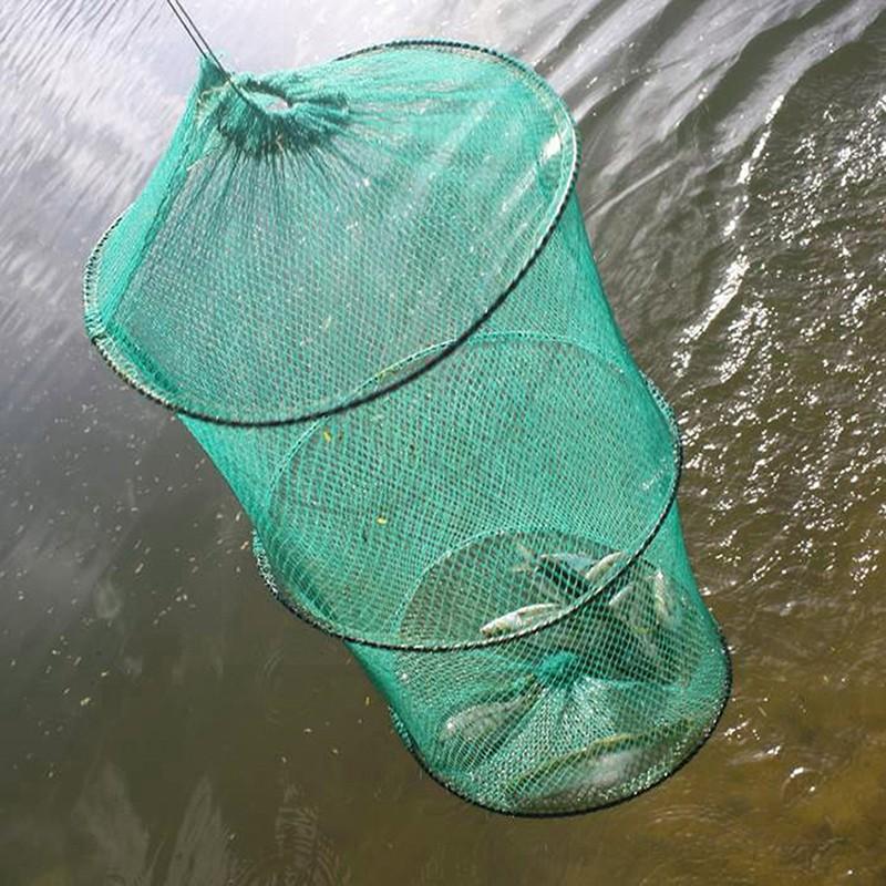 Red de pesca de cangrejo con m - Landing Net Telescopic reseña y precio
